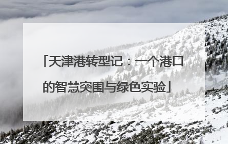 天津港转型记：一个港口的智慧突围与绿色实验