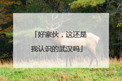 好家伙，这还是我认识的武汉吗