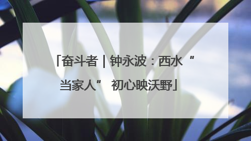 奋斗者｜钟永波：西水“当家人” 初心映沃野