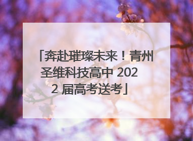 奔赴璀璨未来！青州圣维科技高中 2022 届高考送考