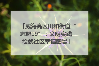 威海高区田和街道“志愿19”：文明实践绘就社区幸福图景