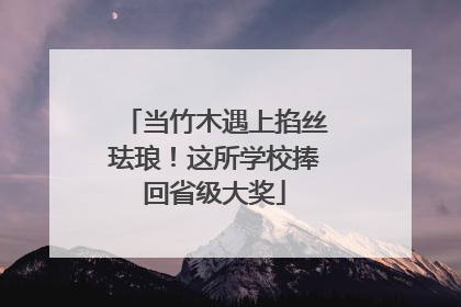 当竹木遇上掐丝珐琅！这所学校捧回省级大奖