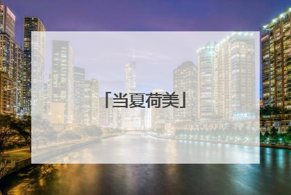 当夏荷美