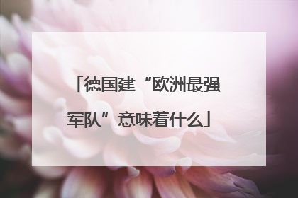 德国建“欧洲最强军队”意味着什么