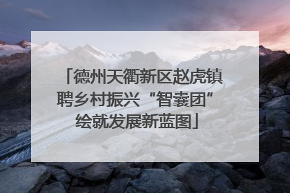 德州天衢新区赵虎镇聘乡村振兴“智囊团” 绘就发展新蓝图