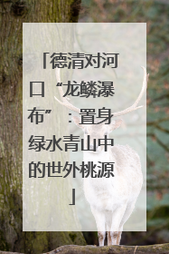 德清对河口“龙鳞瀑布”：置身绿水青山中的世外桃源
