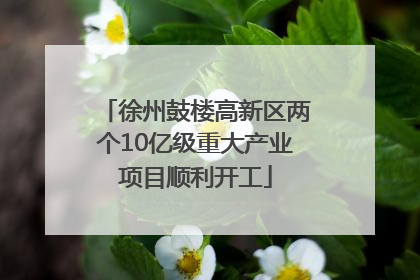 徐州鼓楼高新区两个10亿级重大产业项目顺利开工