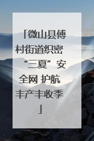 微山县傅村街道织密“三夏”安全网 护航丰产丰收季