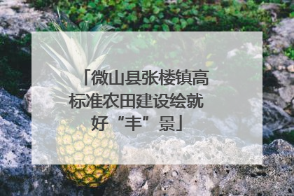 微山县张楼镇高标准农田建设绘就好“丰”景