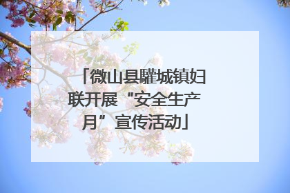 微山县驩城镇妇联开展“安全生产月”宣传活动
