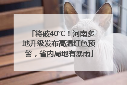 将破40℃！河南多地升级发布高温红色预警，省内局地有暴雨