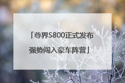 尊界S800正式发布 强势闯入豪车阵营