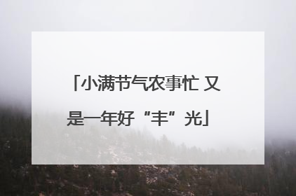 小满节气农事忙 又是一年好“丰”光