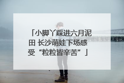 小脚丫踩进六月泥田 长沙萌娃下场感受“粒粒皆辛苦”