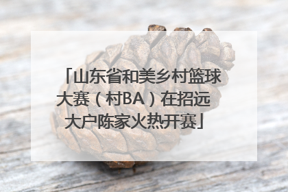 山东省和美乡村篮球大赛（村BA）在招远大户陈家火热开赛