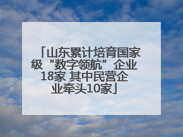 山东累计培育国家级“数字领航”企业18家 其中民营企业牵头10家