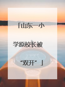 山东一小学原校长被“双开”
