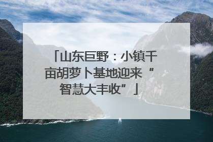 山东巨野：小镇千亩胡萝卜基地迎来“智慧大丰收”