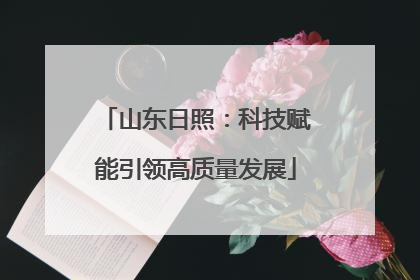 山东日照：科技赋能引领高质量发展