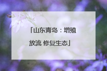 山东青岛：增殖放流 修复生态