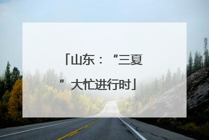 山东：“三夏”大忙进行时