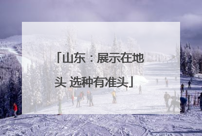 山东：展示在地头 选种有准头