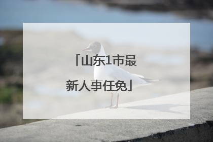 山东1市最新人事任免