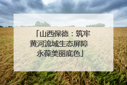 山西保德：筑牢黄河流域生态屏障 永葆美丽底色
