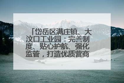 岱岳区满庄镇、大汶口工业园：完善制度、贴心护航、强化监管，打造优质营商“强磁场”