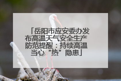 岳阳市应安委办发布高温天气安全生产防范提醒：持续高温当心“热”隐患