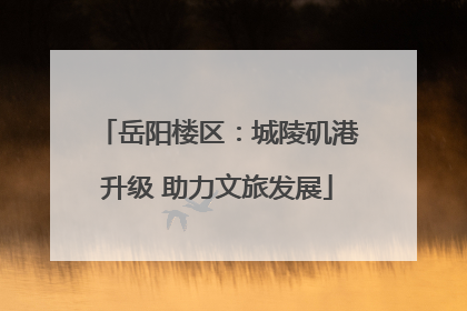 岳阳楼区：城陵矶港升级 助力文旅发展