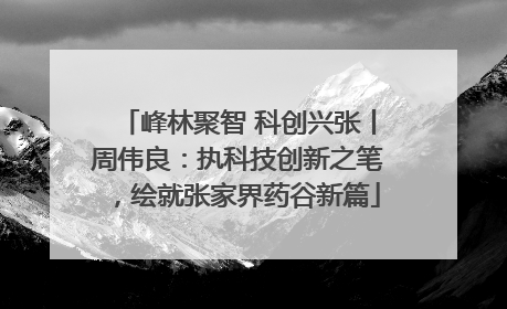 峰林聚智 科创兴张丨周伟良：执科技创新之笔，绘就张家界药谷新篇