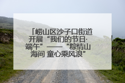 崂山区沙子口街道开展“我们的节日·端午”——“粽情山海间 童心乘风浪”文明实践活动