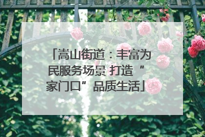 嵩山街道：丰富为民服务场景 打造“家门口”品质生活
