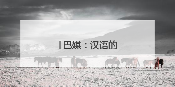 巴媒：汉语的未来就在眼前