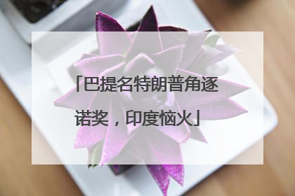 巴提名特朗普角逐诺奖，印度恼火