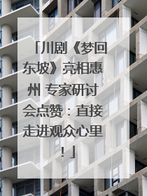 川剧《梦回东坡》亮相惠州 专家研讨会点赞：直接走进观众心里！