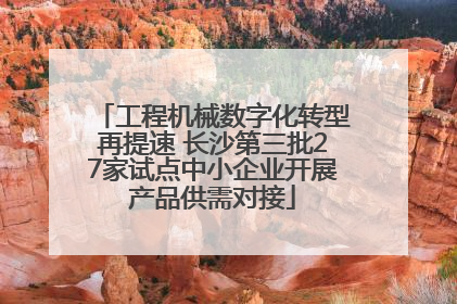 工程机械数字化转型再提速 长沙第三批27家试点中小企业开展产品供需对接