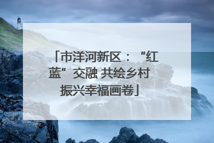 市洋河新区：“红蓝”交融 共绘乡村振兴幸福画卷