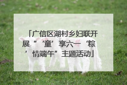 广信区湖村乡妇联开展“‘童’享六一‘粽’情端午”主题活动