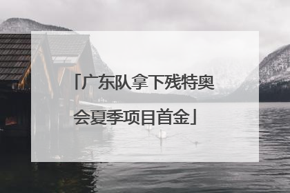 广东队拿下残特奥会夏季项目首金