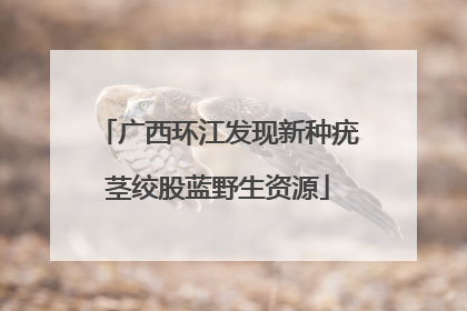 广西环江发现新种疣茎绞股蓝野生资源