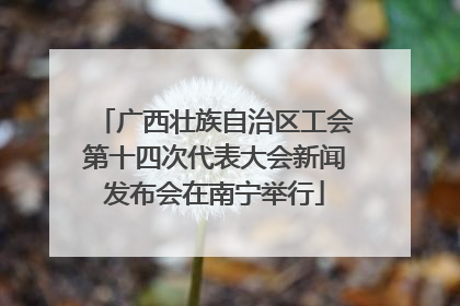 广西壮族自治区工会第十四次代表大会新闻发布会在南宁举行