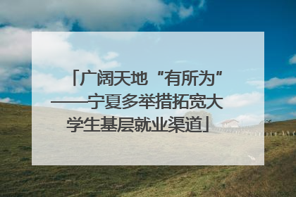 广阔天地“有所为”——宁夏多举措拓宽大学生基层就业渠道