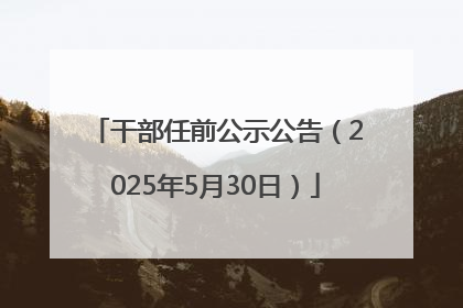干部任前公示公告（2025年5月30日）