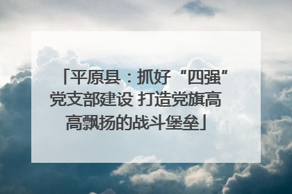 平原县：抓好“四强”党支部建设 打造党旗高高飘扬的战斗堡垒