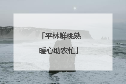 平林鲜桃熟 暖心助农忙