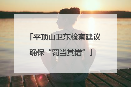 平顶山卫东检察建议确保“罚当其错”