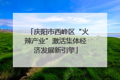 庆阳市西峰区“火辣产业”激活集体经济发展新引擎