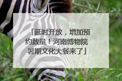 延时开放，增加预约数量！河南博物院暑期文化大餐来了